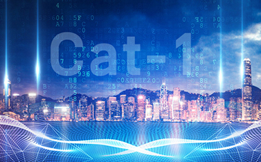 工信部重磅發(fā)文，Cat-1/NB-IoT再次站上新風(fēng)口