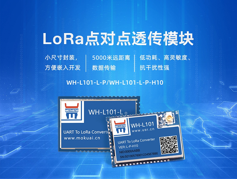 LoRa無線傳輸模塊_點(diǎn)對點(diǎn)/LoRaWAN_LoRa無線傳輸技術(shù)